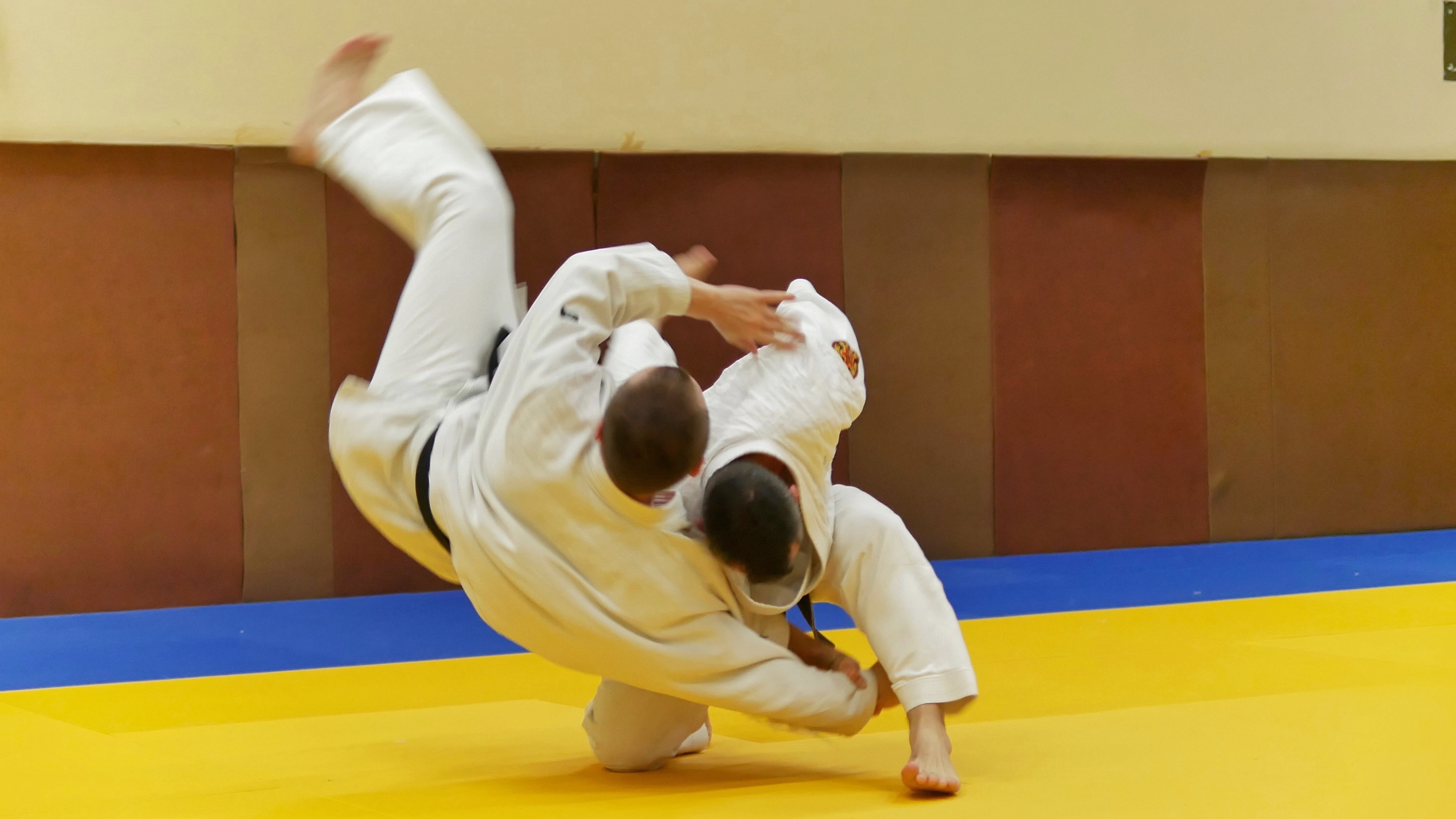 Entraînement de Nihon Taï-Jitsu au dojo du Chesnay-Rocquencourt